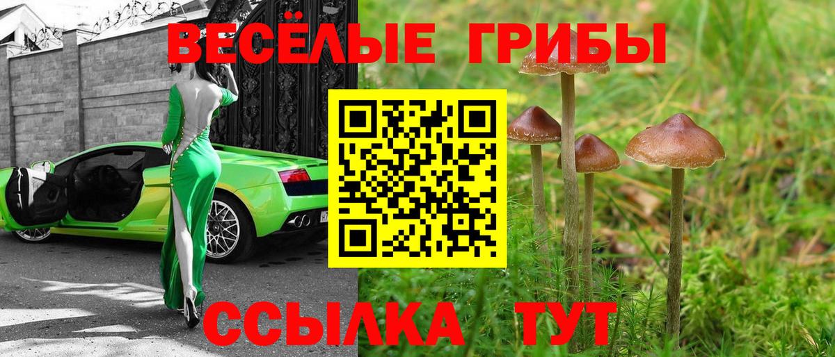 Псилоцибиновые грибы Cubensis Костомукша