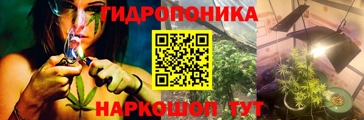 Шишки марихуана марихуана Костомукша